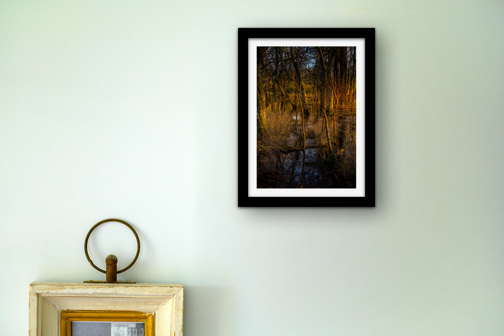 Affiche Sous-bois en Lumière Dorée – Photo Nature Apaisante