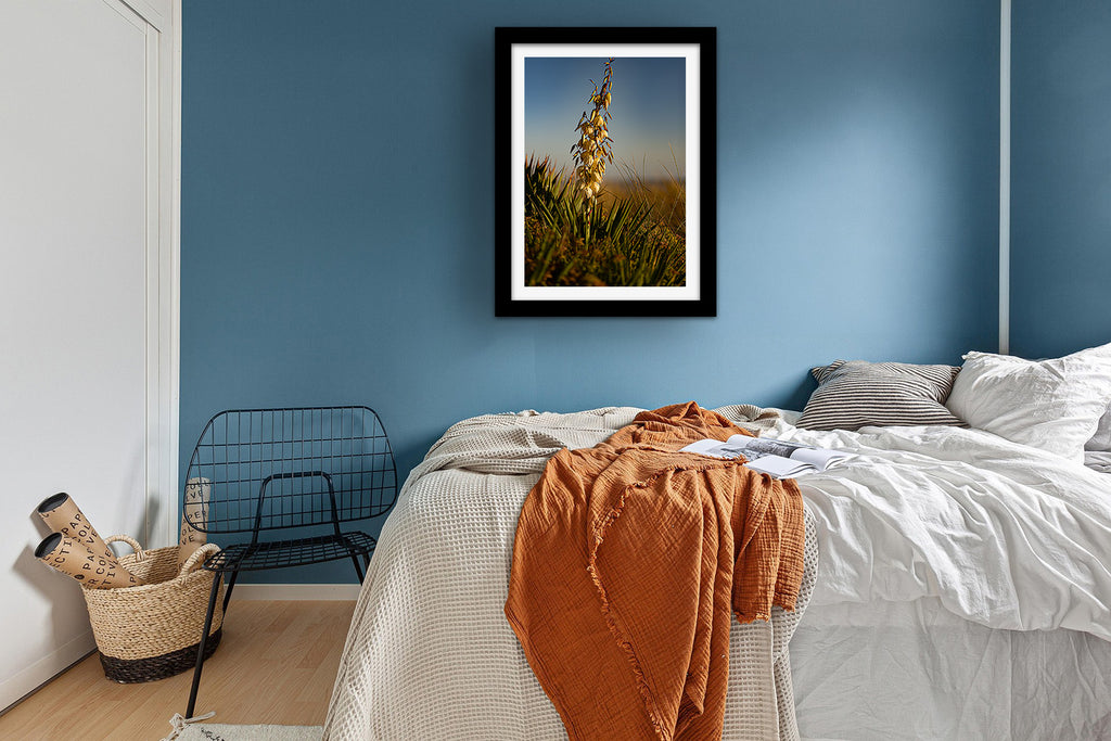 Affiche Yucca en Fleur – Photo Nature Chaleureuse et Élégante