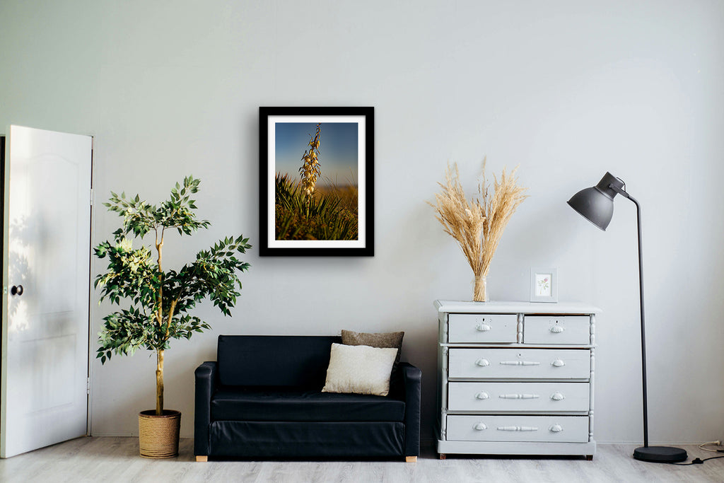 Affiche Yucca en Fleur – Photo Nature Chaleureuse et Élégante