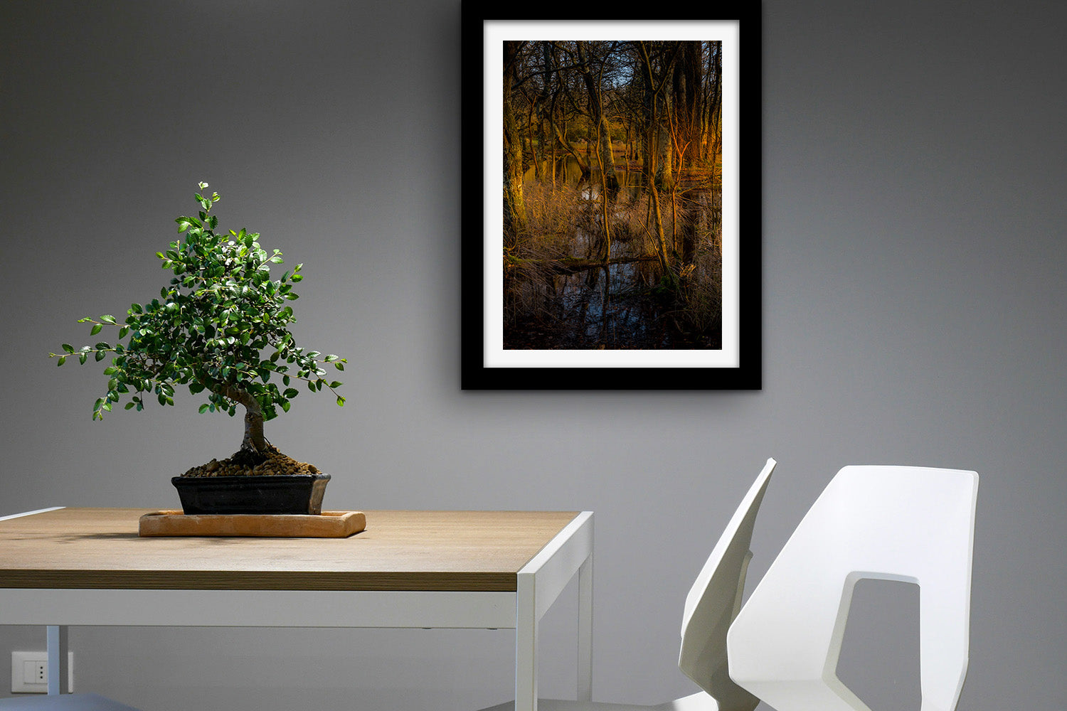 Affiche Sous-bois en Lumière Dorée – Photo Nature Apaisante
