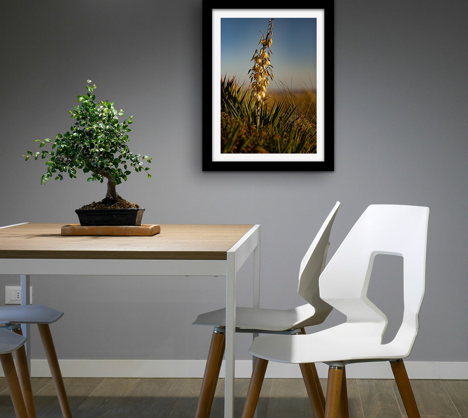 Affiche Yucca en Fleur – Photo Nature Chaleureuse et Élégante