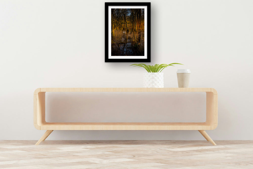Affiche Sous-bois en Lumière Dorée – Photo Nature Apaisante