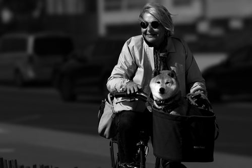 Affiche Femme à Vélo avec Chien – Photo Noir et Blanc Humaine Patrick Garnier Photographe